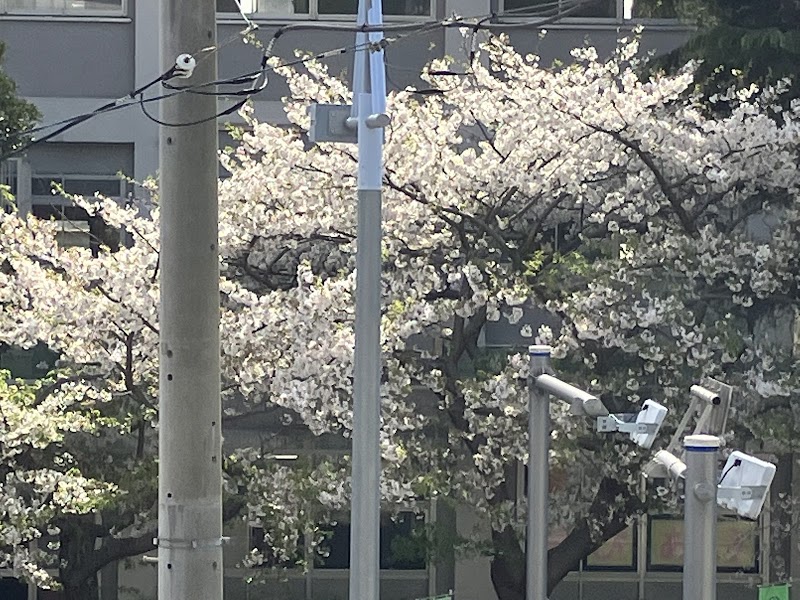 みかさカメラ