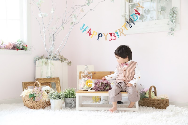 studio baby’s breath