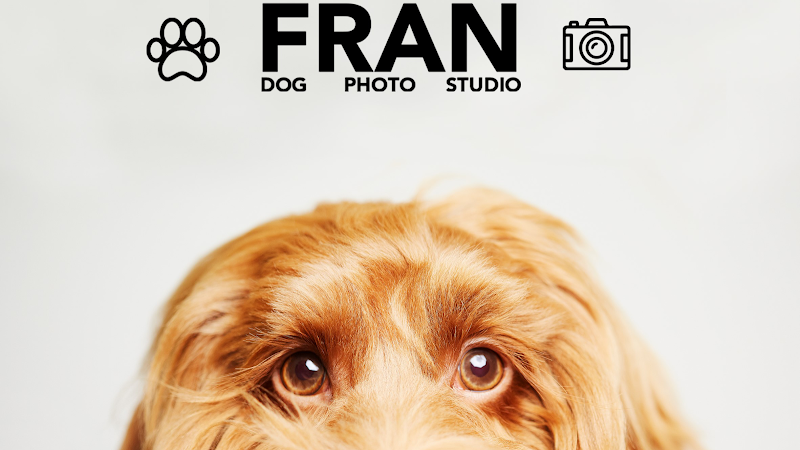 FRAN DOG PHOTO STUDIO