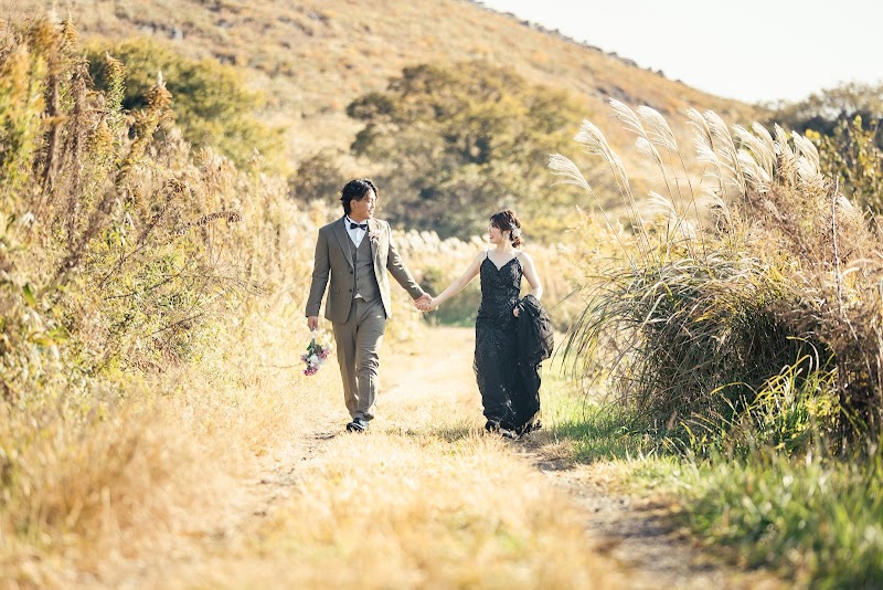 ROLL7 WEDDING